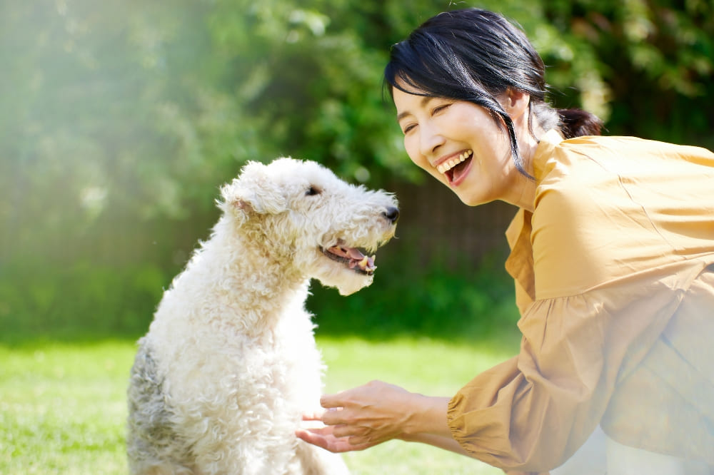 人気エリアでもペットと一緒に暮らせる
