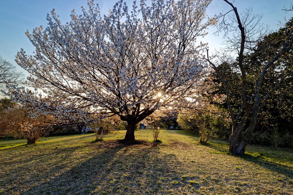 日ノ出町駅は住みやすい?