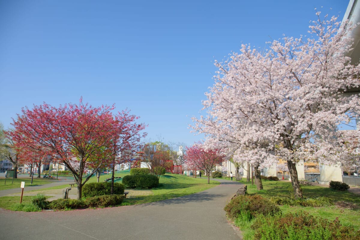 蒔田公園