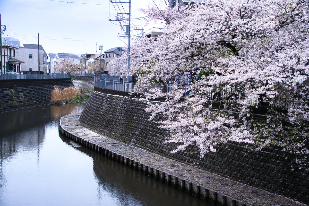 大岡川プロムナード